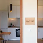 Aluna Boutique * Vasilikí
